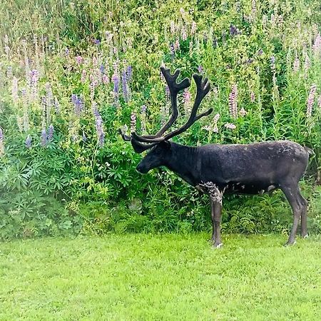 Leilighet I Nord Tromsø Dış mekan fotoğraf