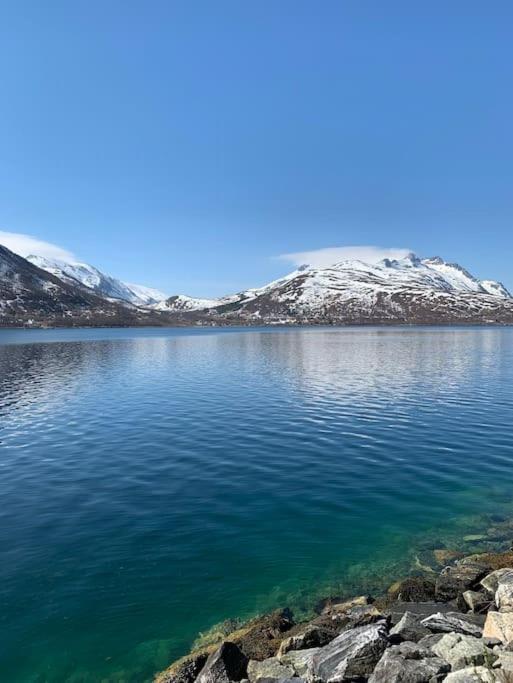Leilighet I Nord Tromsø Dış mekan fotoğraf