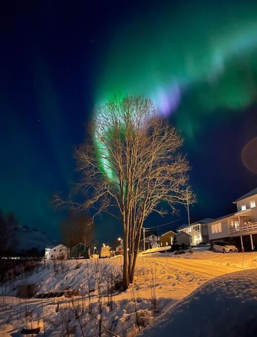 Leilighet I Nord Tromsø Dış mekan fotoğraf
